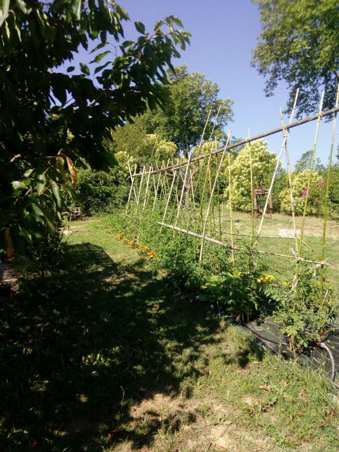 Willa Lili Céret Zewnętrze zdjęcie